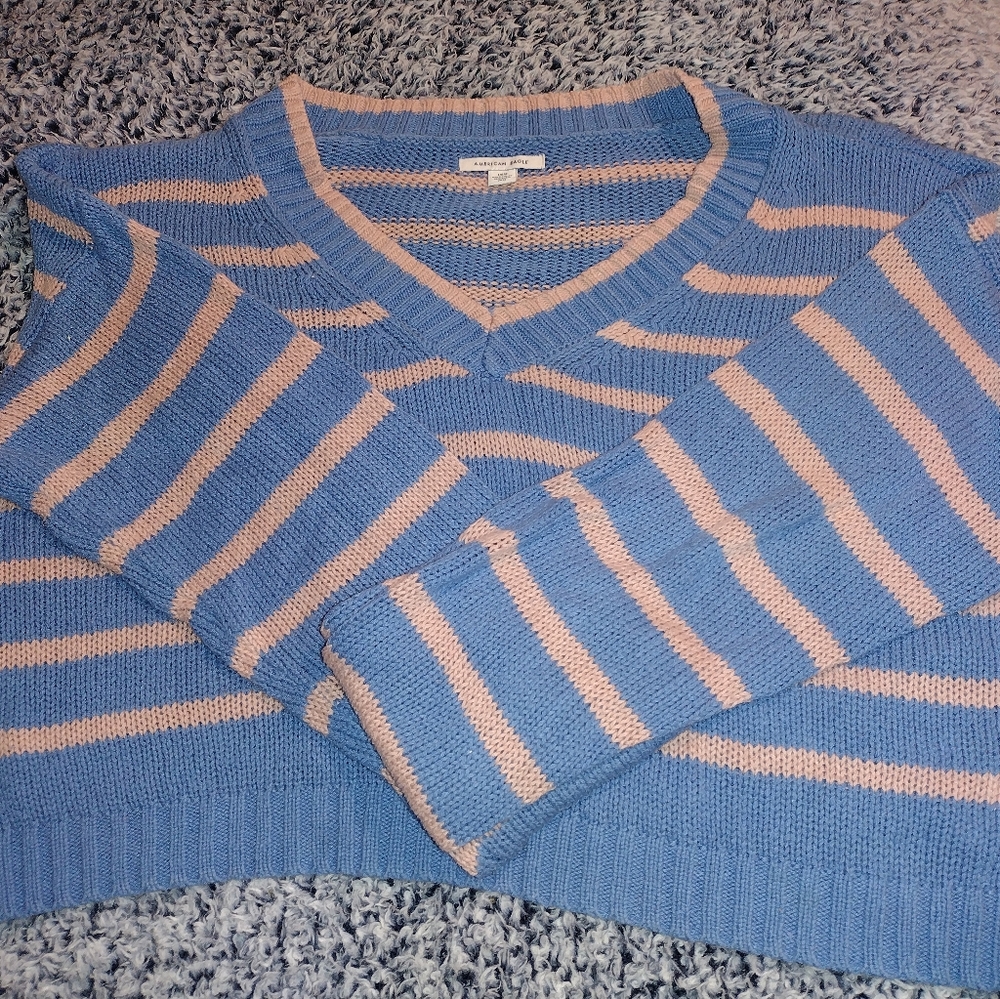 American eagle crop top